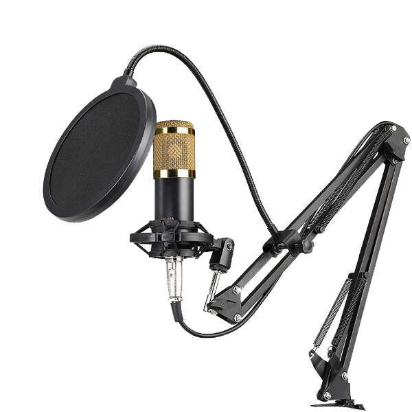 Stadroom - Microfono da studio professionale